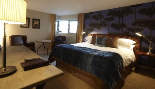 Superior Double or Twin Room