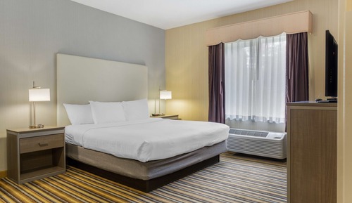 Suite, 1 King Bed, Non Smoking, Kitchen