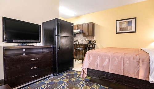 1 King Bed with Sofabed, Efficiency, Nonsmoking