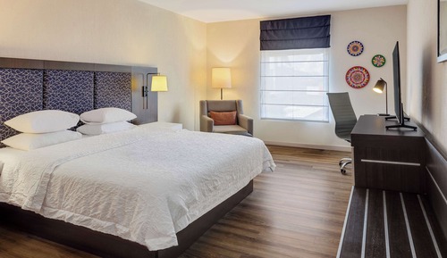 Room, 1 King Bed, Non Smoking