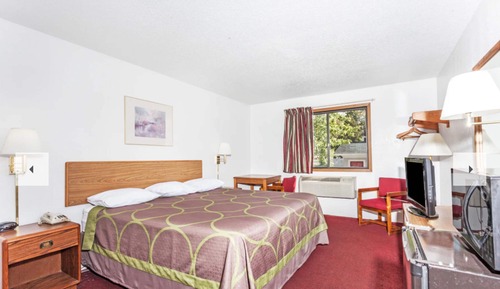 Room, 1 King Bed, Microwave