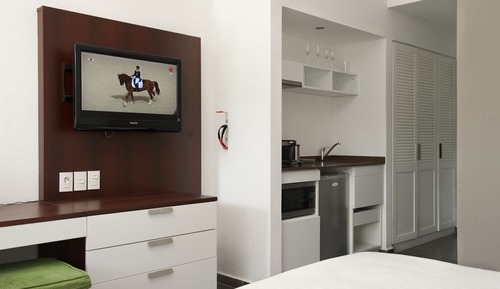 Superior Room, Kitchenette (room opens to garden)