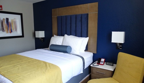 Standard Room, 1 Queen Bed, Accessible, Refrigerator & Microwave