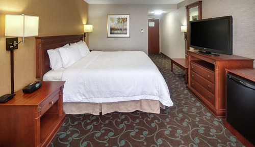 Standard Room, 1 King Bed, Non Smoking