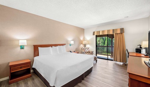 Suite, 1 King Bed, Non Smoking, Refrigerator & Microwave (Living Room;with Sofabed)