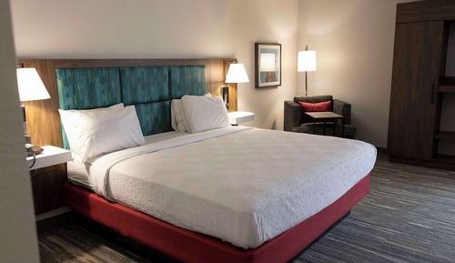Room, Accessible, Non Smoking (Hearing Impaired/Roll-in Shower)