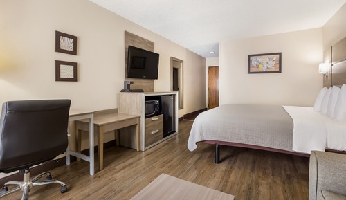 Standard Room, 1 King Bed, Non Smoking