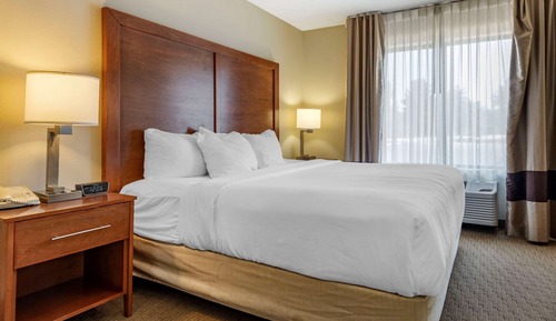 Standard Room, 1 King Bed, Non Smoking