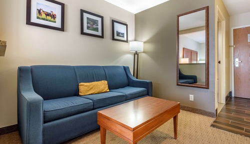 Suite, 1 King Bed with Sofa bed, Non Smoking