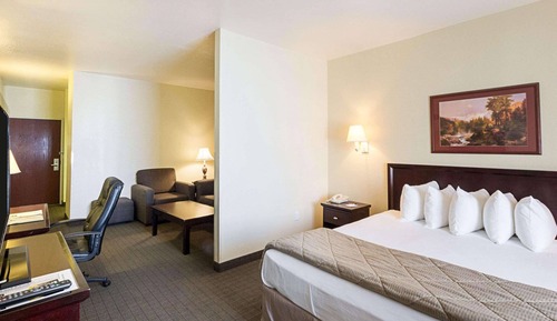 Suite, 1 King Bed with Sofa bed, Non Smoking, Microwave