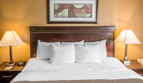 Standard Room, 1 King Bed with Sofa bed, Non Smoking