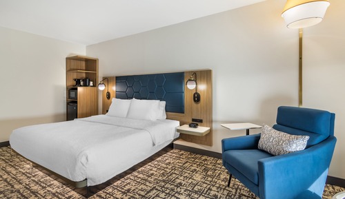 Standard Room, 1 King Bed, Non Smoking, Accessible (Roll-In Shower)