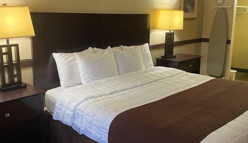 Standard Room, 1 King Bed, Non Smoking - Pet Room