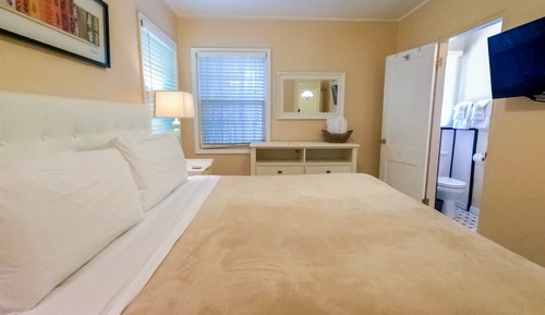 Suite, 1 King Bed with Sofa bed