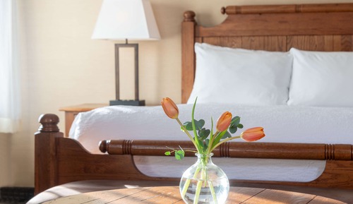 Standard Room, 1 Queen Bed, Refrigerator, Mountain View (Shower Only;No Pets in room type)