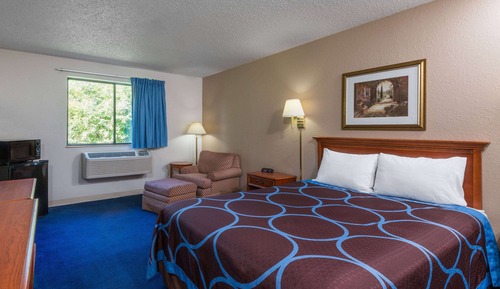 Room, 1 King Bed, Non Smoking