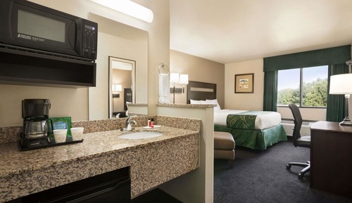 Room, 1 King Bed, Non Smoking