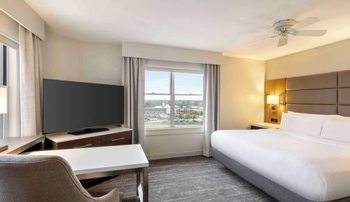 Studio Suite, 1 King Bed