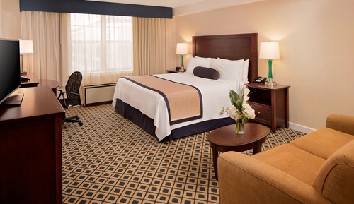 Standard Room, 1 King Bed with Sofa bed