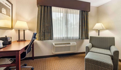Standard Room, 1 King Bed, Accessible, Bathtub (Refrigerator & Microwave)