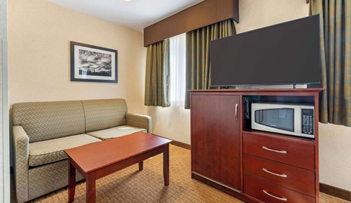 Junior Suite, 1 King Bed, Non Smoking, Refrigerator & Microwave (with Sofabed)