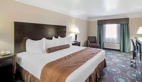 Standard Room, 1 King Bed, Non Smoking, Refrigerator & Microwave