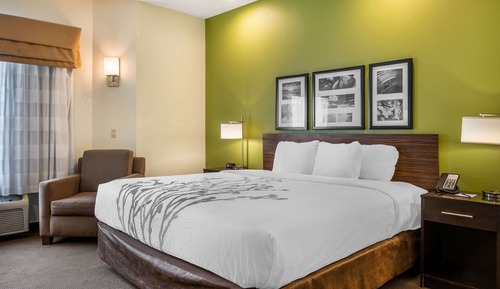 Standard Room, 1 King Bed, Non Smoking