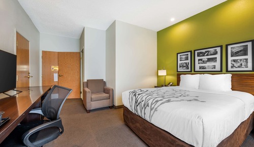 Room, 1 Queen Bed, Accessible, Non Smoking