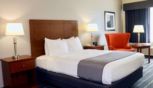 Standard Room, 1 Queen Bed, Accessible, Refrigerator & Microwave (Refrigerator & Microwave)