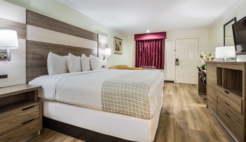 Room, 1 King Bed, Non Smoking