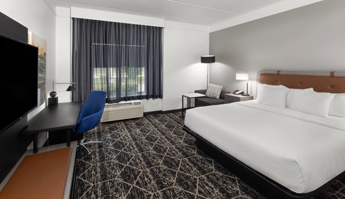 Room, 1 King Bed, Non Smoking