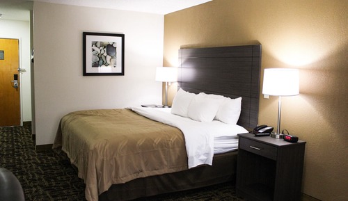 Standard Room, 1 King Bed, Non Smoking