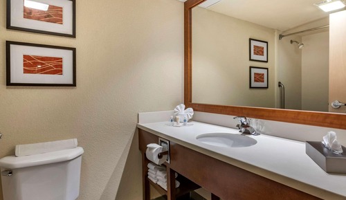 Suite, 1 King Bed, Accessible, Non Smoking