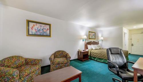 Room, 1 King Bed, Smoking
