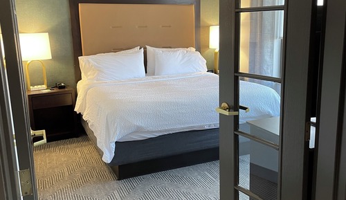 Suite, 1 King Bed with Sofa bed