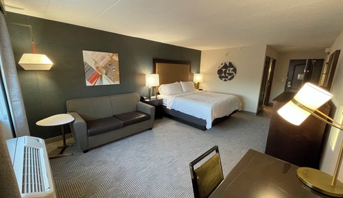 Standard Room, 1 King Bed with Sofa bed