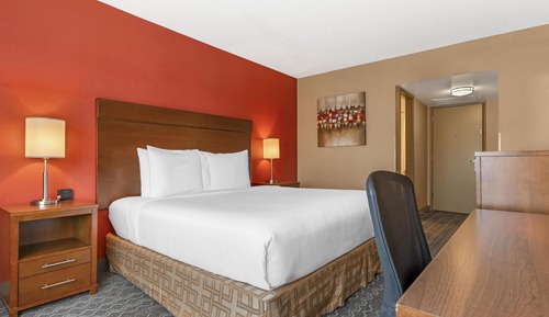 Standard Room, 1 Queen Bed, Refrigerator & Microwave, Mountain View