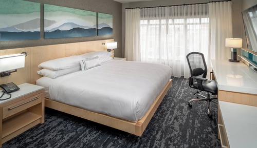 Executive Suite, 1 King Bed with Sofa bed