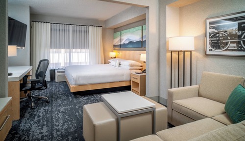 Room, 1 King Bed with Sofa bed