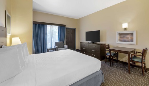 Standard Room, 1 King Bed, Non Smoking, Kitchen