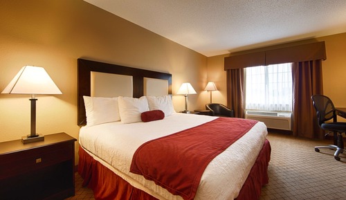 Standard Single Room, 1 King Bed, Refrigerator & Microwave