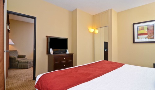 Basic Suite, 1 King Bed with Sofa bed, Non Smoking, Refrigerator & Microwave (with Sofabed)