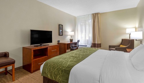Standard Room, 1 King Bed, Non Smoking