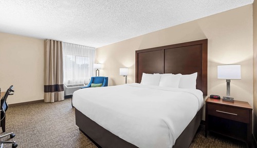 Room, 1 King Bed, Non Smoking