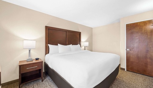 Room, 1 King Bed with Sofa bed, Non Smoking