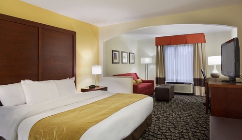 Studio Suite, 1 King Bed with Sofa bed, Accessible, Non Smoking