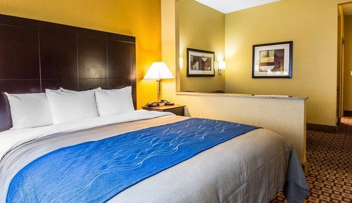 Suite, 1 King Bed