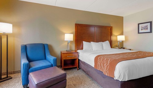 Standard Room, 1 King Bed, Non Smoking