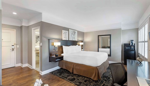 Standard Room, 1 King Bed, Non Smoking, Jetted Tub (with Sofabed)