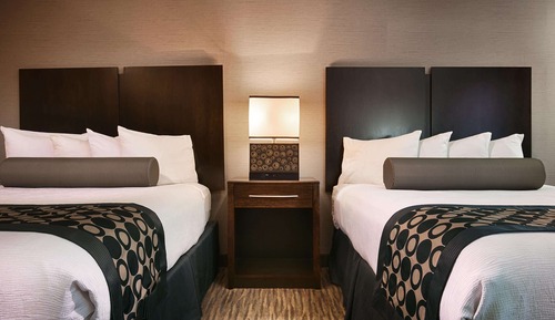 Standard Room, 2 Queen Beds, Refrigerator & Microwave, Ground Floor (Pet Friendly)